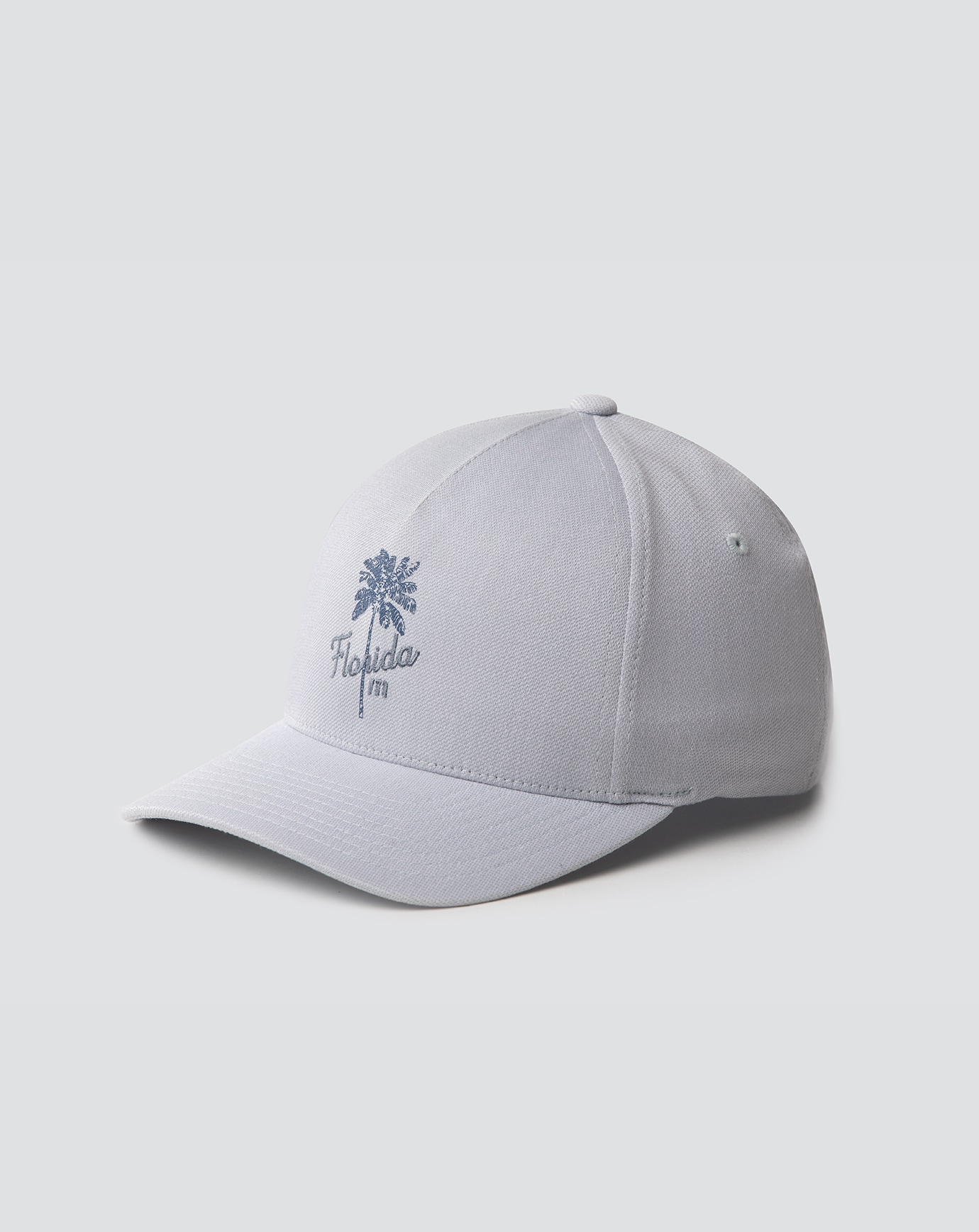 LOGGERHEAD FITTED HAT Image Thumbnail 2
