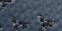 Heather Mood Indigo