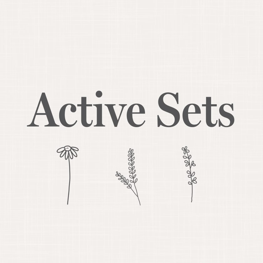 Active Sets