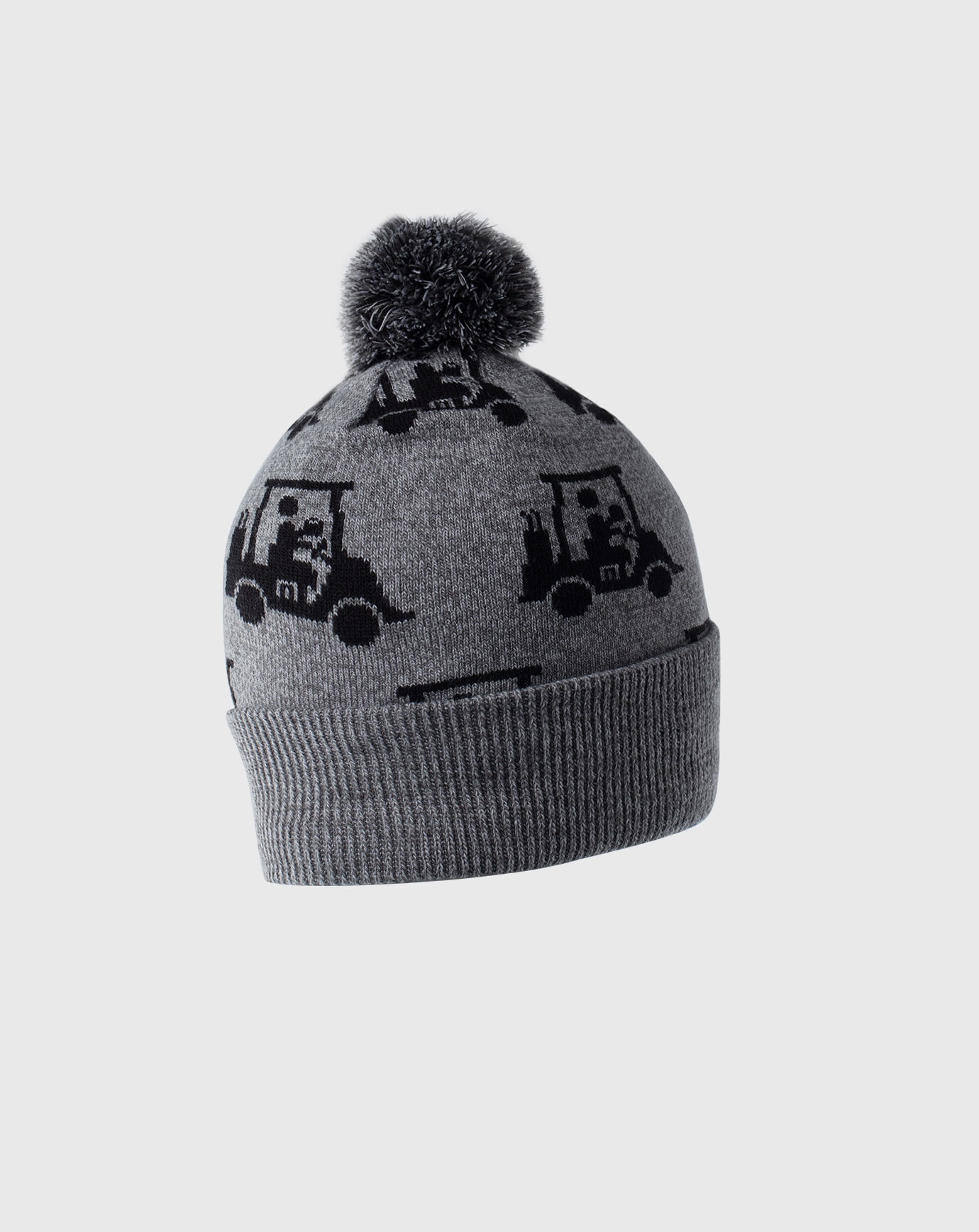 SWINGLES BEANIE Image Thumbnail 2