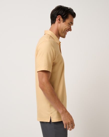 FEATHERWEIGHT VISTA POLO Image Thumbnail 4
