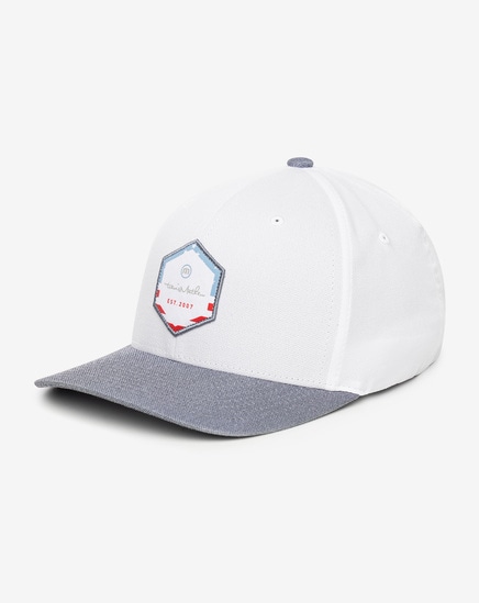 CELEBRATE US FITTED HAT Image Thumbnail 2