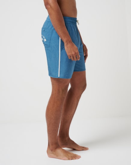 ISLAND ELIXER BOARDSHORT Image Thumbnail 1