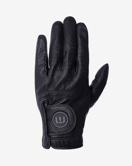 PREMIER 2.0 GOLF GLOVE Image Thumbnail 0